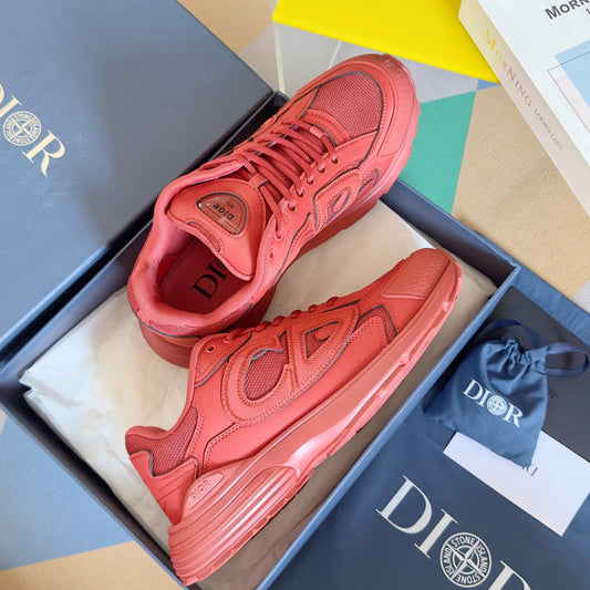 Dior x Stone Island B30